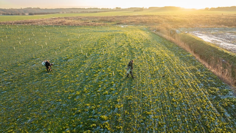 Aerial view of a mix of deciduous and evergreen trees being planted as part of a Trees for Climate programme in partnership with England's Community Forests at Lunt, Liverpool